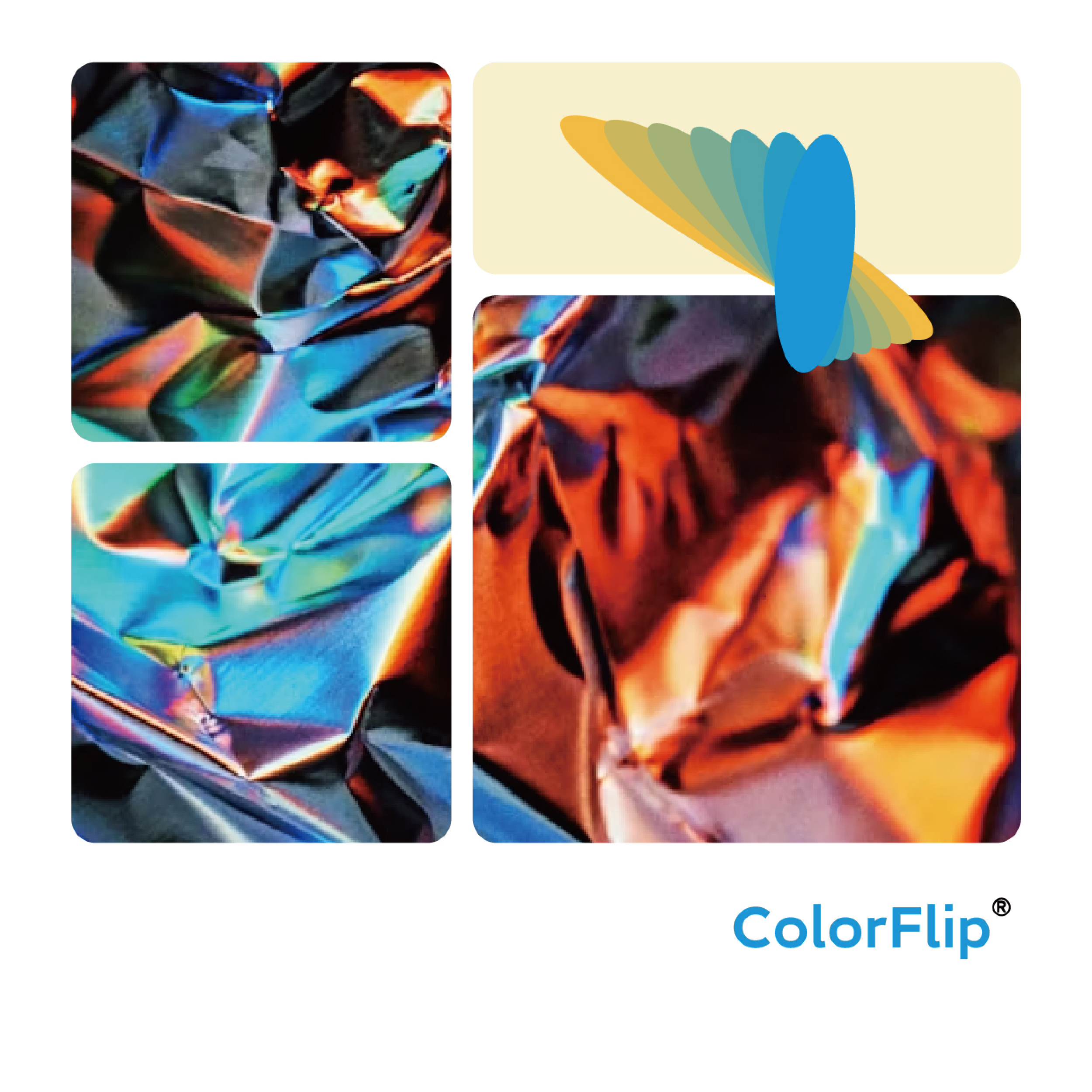 ColorFlip.jpg